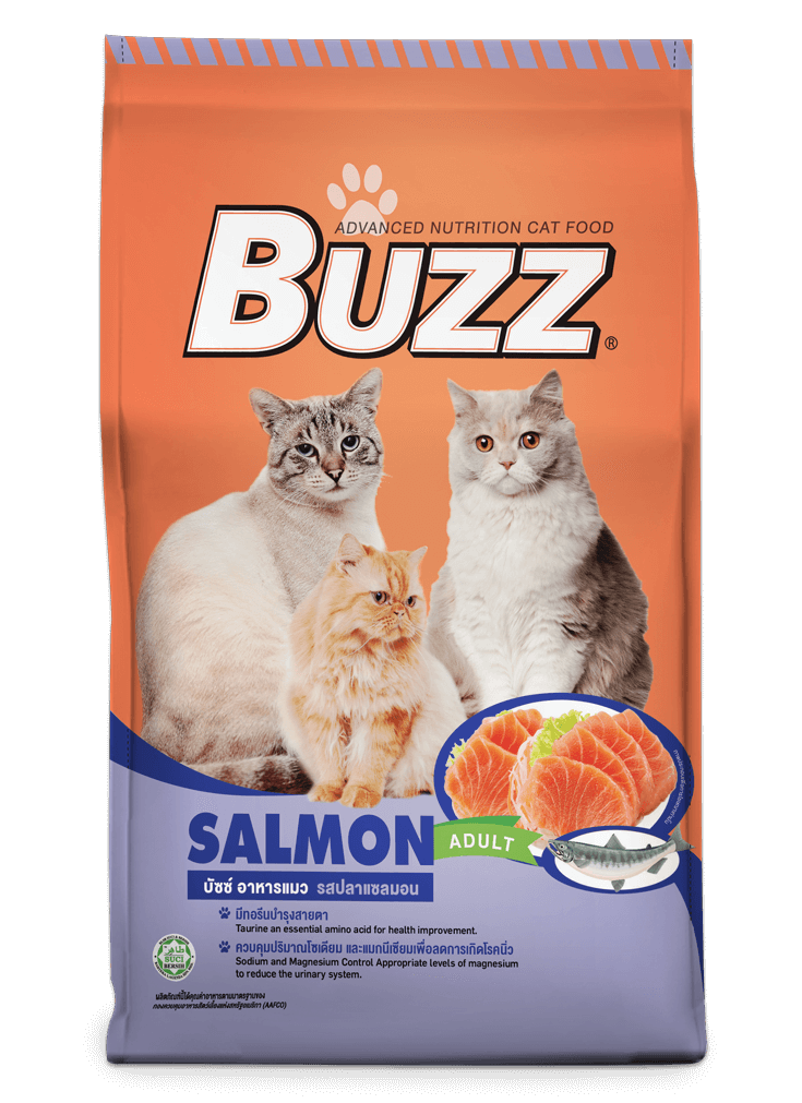 Salmon Flavour