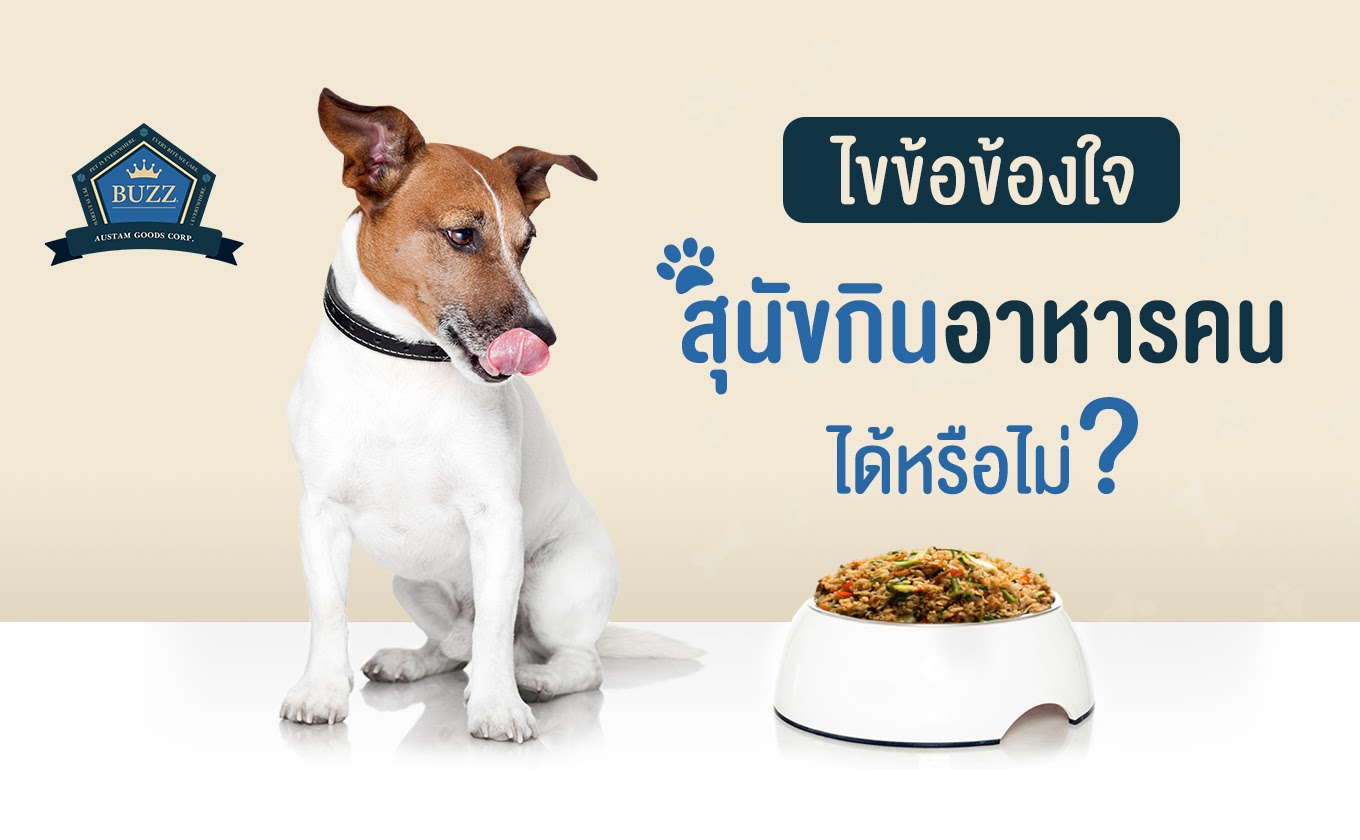 ไขข้อข้องใจ สุนัขกินอาหารคน ได้หรือไม่?