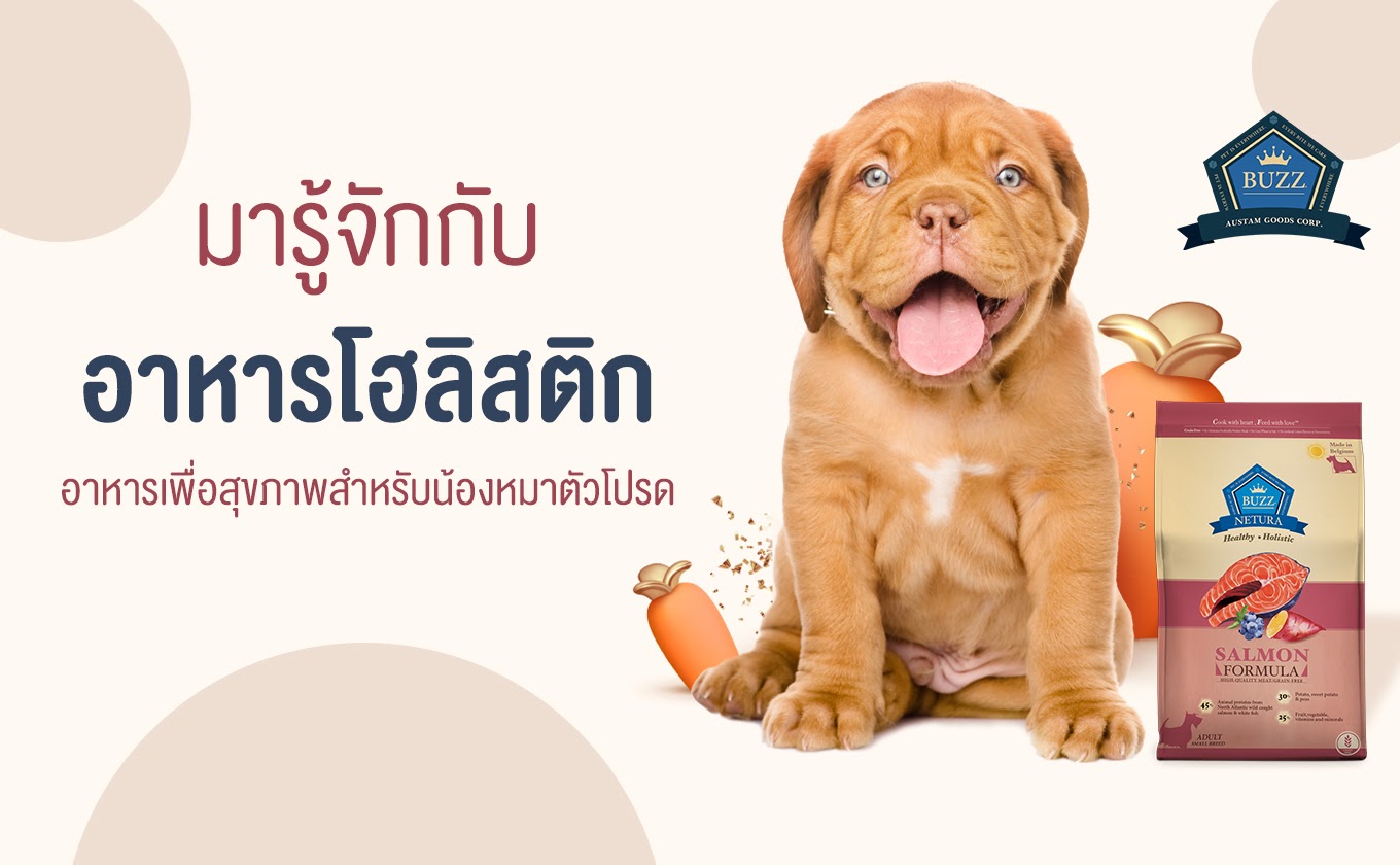มารู้จักกับ อาหารโฮลิสติก อาหารเพื่อสุขภาพสำหรับน้องหมาตัวโปรด |