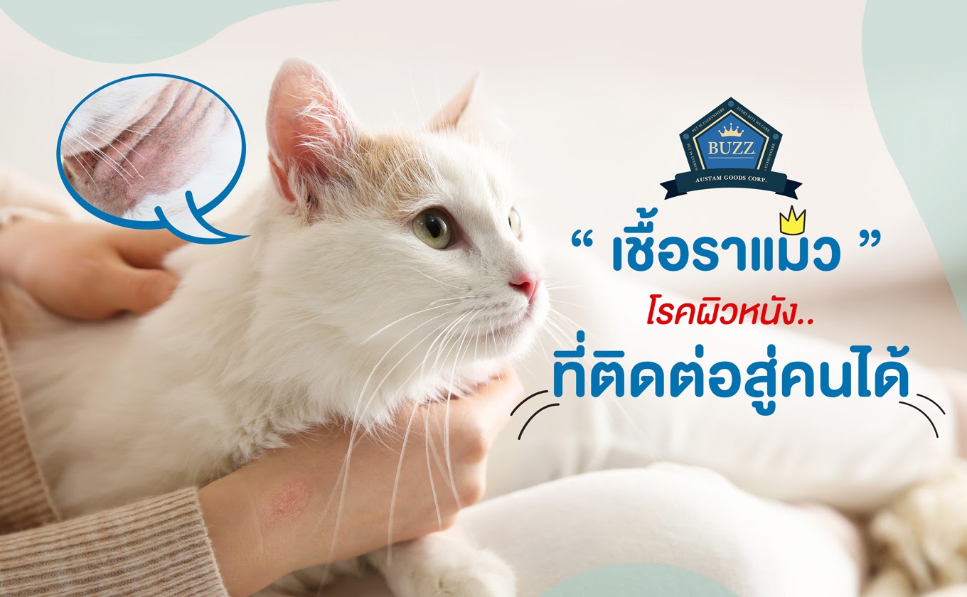 เชื้อราแมว โรคผิวหนังที่ติดต่อสู่คนได้